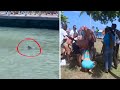 The Horrific Recent Shark Attack in Tobago On U.K's Peter Smith
