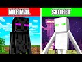 10 Top SECRETS In Minecraft Revealed