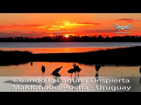 Cuando la Laguna Despierta, Laguna Garzón, Maldonado/Rocha - Uruguay.