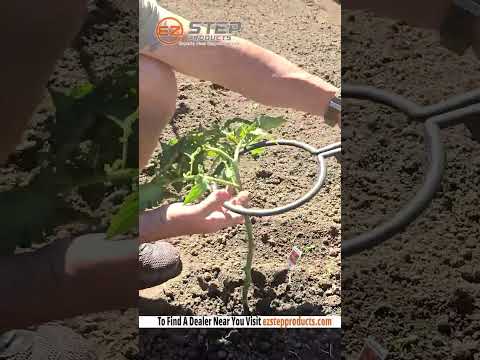 Plant Support Rings Part 1