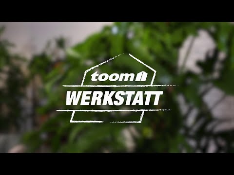 toom Pflanzentipps: Unsere Luftverbesserer | toom Baumarkt