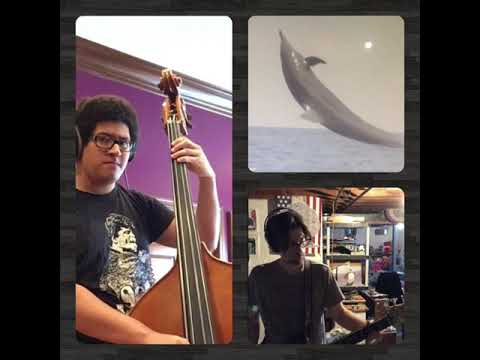 "Dolphin Dance" w/ Blake Mickens, Ben Wheeler and Jerry Mazzuca