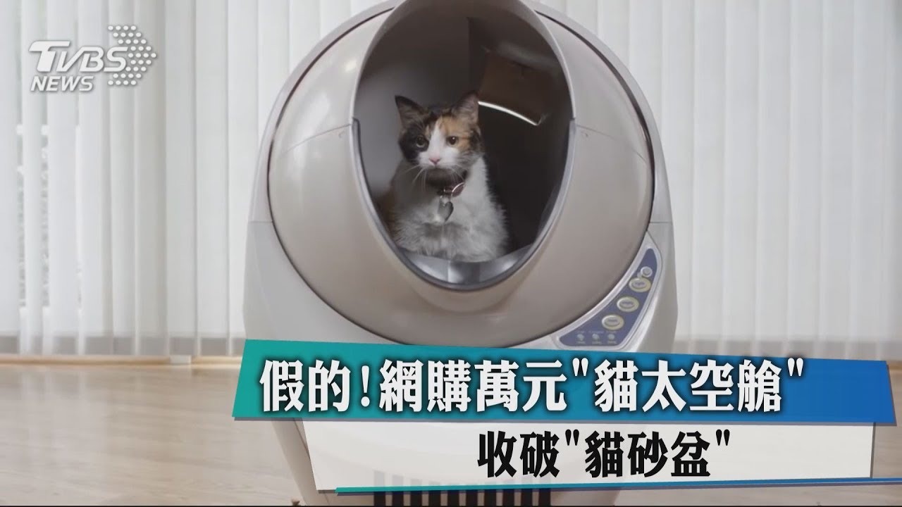 假的!網購萬元「貓太空艙」 收破「貓砂盆」