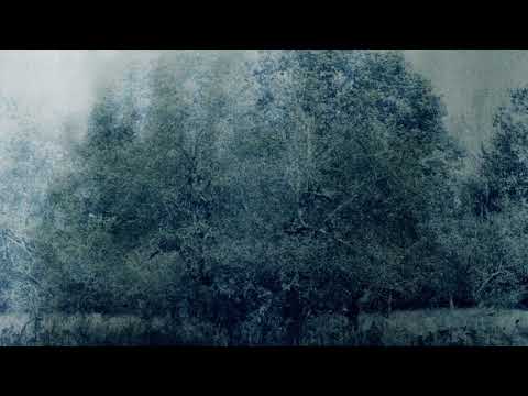 Paul Haslinger - Septuagint (Official Video)