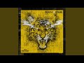 Paper Tiger