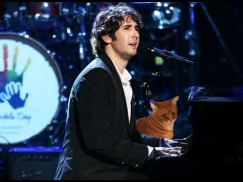 Keyboard Cat: Behind the Music