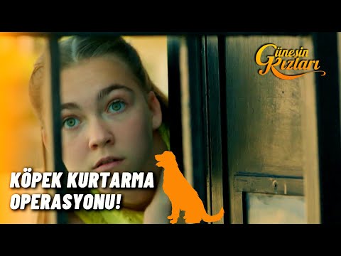 Peri ve Can Yakalandılar! - Güneşin Kızları 4.Bölüm