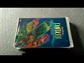 Fantasia 2000 VHS Review