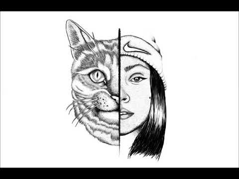 Felinna Vallejo - Estoy (fuera)