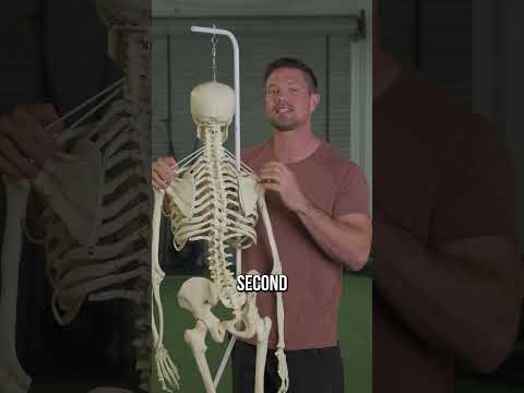 Beginner pull-up and back width prep routine preview