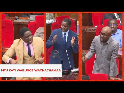 KIMEUMANA WAZIRI MKENDA AWEKWA MTU KATI NA WABUNGE KATI KISA BODI YA MIKOPO...