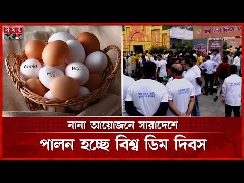 নানা আয়োজনে সারাদেশে পালন হচ্ছে বিশ্ব ডিম দিবস