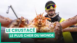 Thumbnail del capítulo