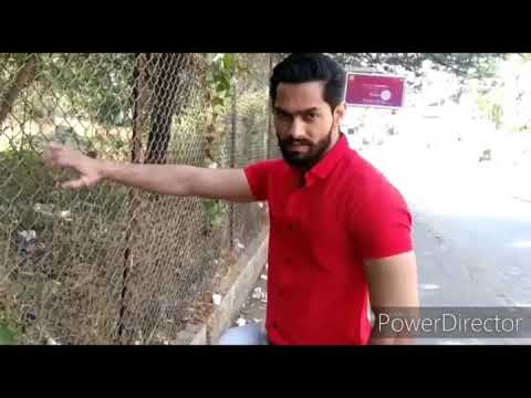 Mohit sonar kgf styel