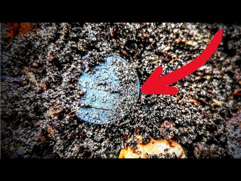 Schatzsuche mit einigen alten Funden - Sondeln mit dem Metalldetektor im Wald - XP Deus