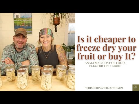 Is Buying a Home Freeze-Dryer Worth the Money? - Backpacking Light