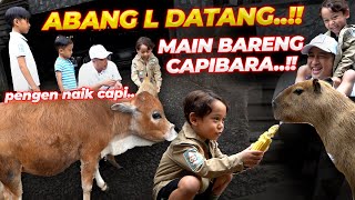 Download lagu ABANG L DATENG PAKE BAJU SAFARI.. BERANI PEGANG SEMUA HEWAN DEHAKIMS..!! mp3 Download lagu ABANG L DATENG PAKE BAJU SAFARI.. BERANI PEGANG SEMUA HEWAN DEHAKIMS..!! mp3