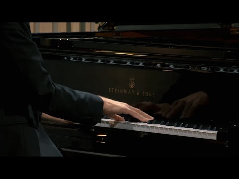 Matthieu Idmtal plays Radamés Gnattali: Vaidosa
