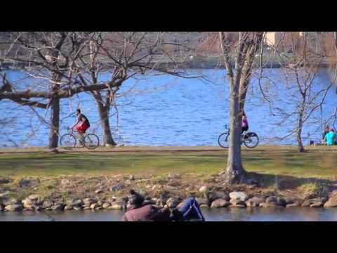 Howard Davidson Arlington MA - videos