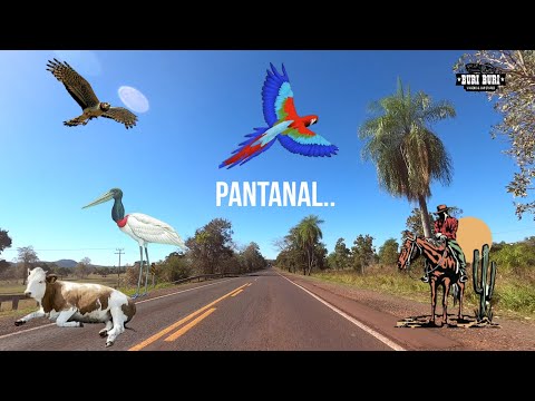5k  Corumba a Miranda Pantanal Mato Grosso do Sul   Brasil
