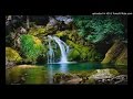 KANNIL ENNA UN KANNIL NEER VAZHINDHAAL S JANAHI SONGS