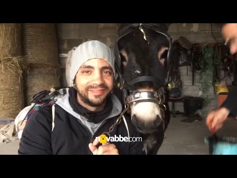 Sfilata di Cavalli a Casarano con Donato Vizzino