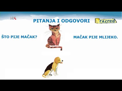 1. RAZRED - ZAGONETKE I PITANJA - HRVATSKI JEZIK