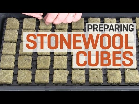, title : 'How To Prepare and Pre-soak Rockwool Cubes for Hydroponics—The Right Way!'