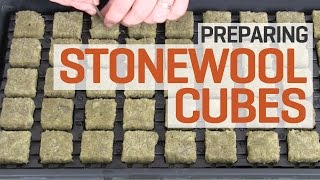 How To Prepare and Pre-soak Rockwool Cubes for Hydroponics—The Right Way!