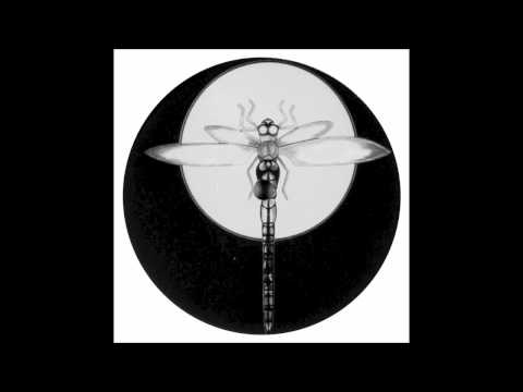 Digitalis - Falling Down (Original Mix)