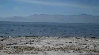 preview picture of video 'Salton Sea North Shore CA Just East Of Palm Springs Californ'
