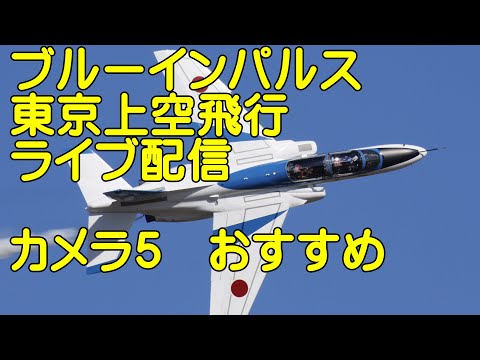 年確認中 ブルーインパルス 東京上空飛行 YouTubeライブ配信アーカイブのサムネイル 5