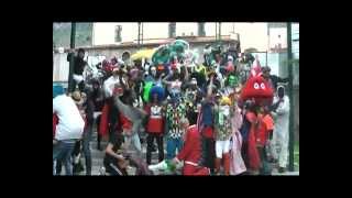 preview picture of video 'Harlem Shake Venafrano'