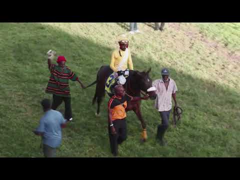 BTC RACE DAY 14TH FEB 2026   RACE 7