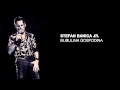 Stefan Banica - Bubulina gospodina Stefan Banica - Bubulina gospodina