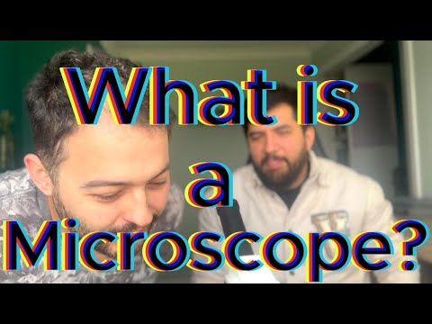 Exploring the Microverse! What’s Hiding in Pond Water?