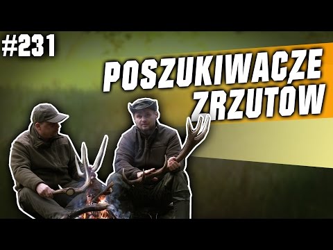Darz Bór odc 231 - Poszukiwacze zrzutów