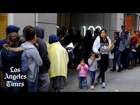 Resident Alien's Boarder Crossing I.D. - Los Angeles Public