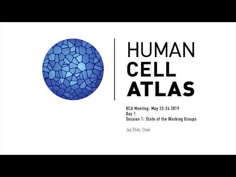 Human Cell Atlas General Meeting:  State of the Working Groups