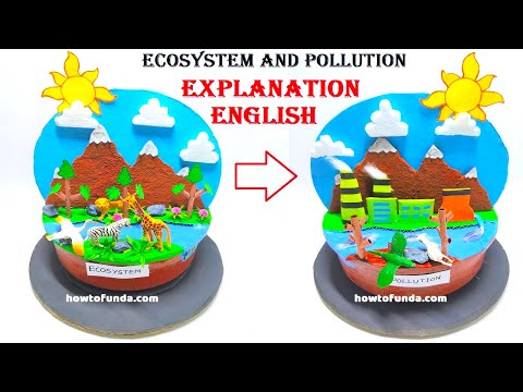 Animal Cell Model 3D model making using cardboard and paper howtofunda still model