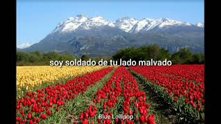 De la parte de adelante - Andres Calamaro