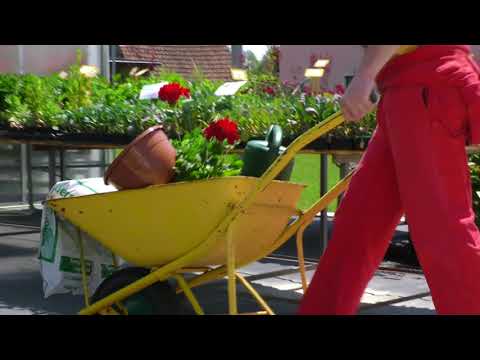 Pomlad v Vrtnarstvu Alt