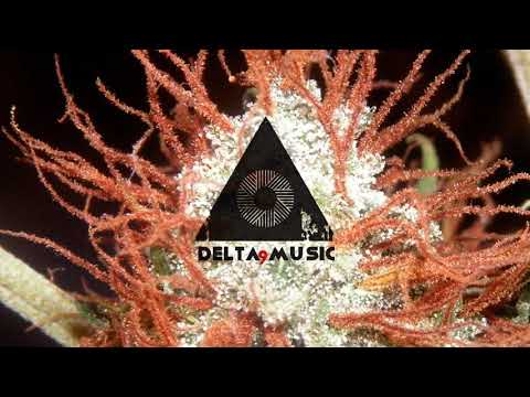 Rod Fussy - Goodbye (Original Mix)