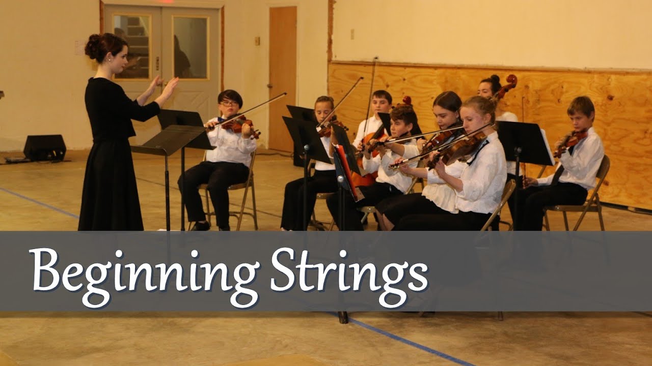 Beginning Strings