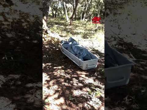 Homem é encontrado morto em área de mata no interior  de SP #shorts
