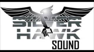 Silver Hawk ls Stone love  1994