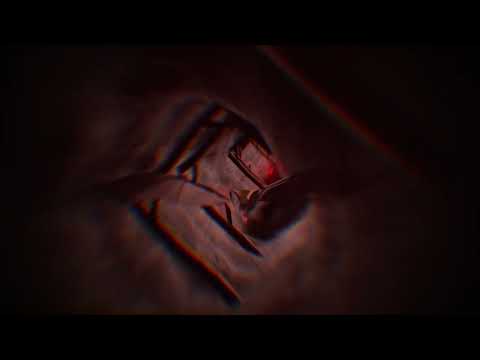 Hookture - MURCIELAGOS (visualizer)