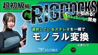 ステレオを一瞬でモノラル化!【RIGDOCKSで始める!Reascript 初級編】