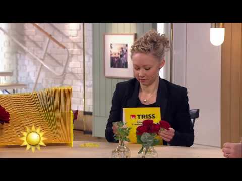 Trissvinnaren: "Nu blir det mycket kolfibercyklar" - Nyhetsmorgon (TV4)