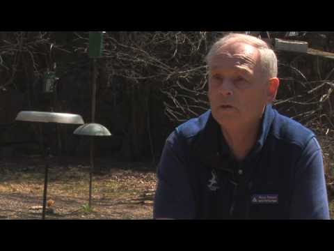 download lagu mp3 mp4 What Do Red Robins Eat, download lagu What Do Red Robins Eat gratis, unduh video klip What Do Red Robins Eat